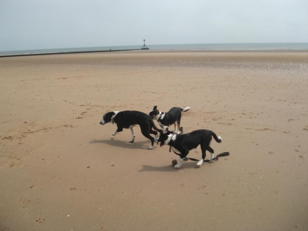 Jasmine Guest House Bridlington Esterno foto